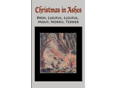 Livro Christmas In Ashes de Kathlyn Tedder ( Inglês )