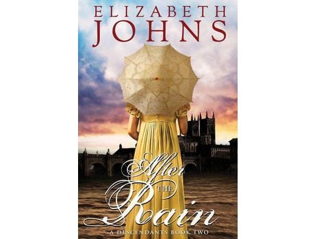 Livro After The Rain de Elizabeth Johns ( Inglês )
