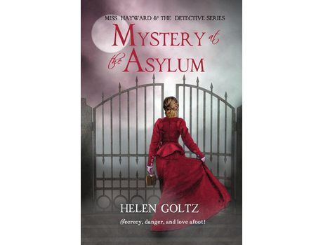 Livro Mystery At The Asylum de Helen Goltz ( Inglês )