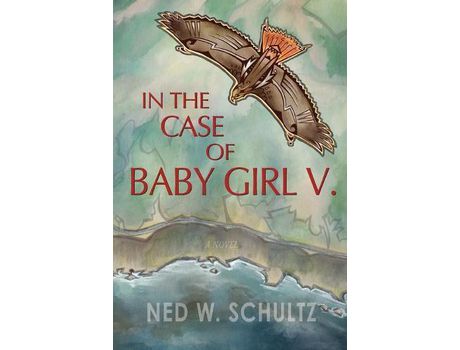 Livro In The Case Of Baby Girl V.: A Novel de Ned W. Schultz ( Inglês )