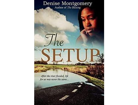 Livro The Setup de Denise E Montgomery ( Inglês )
