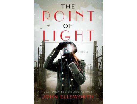 Livro The Point Of Light de John Ellsworth ( Inglês )