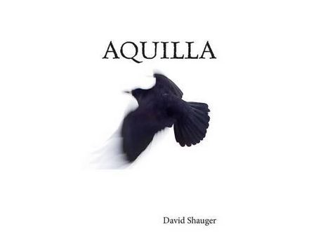 Livro Aquilla de David Shauger ( Inglês )