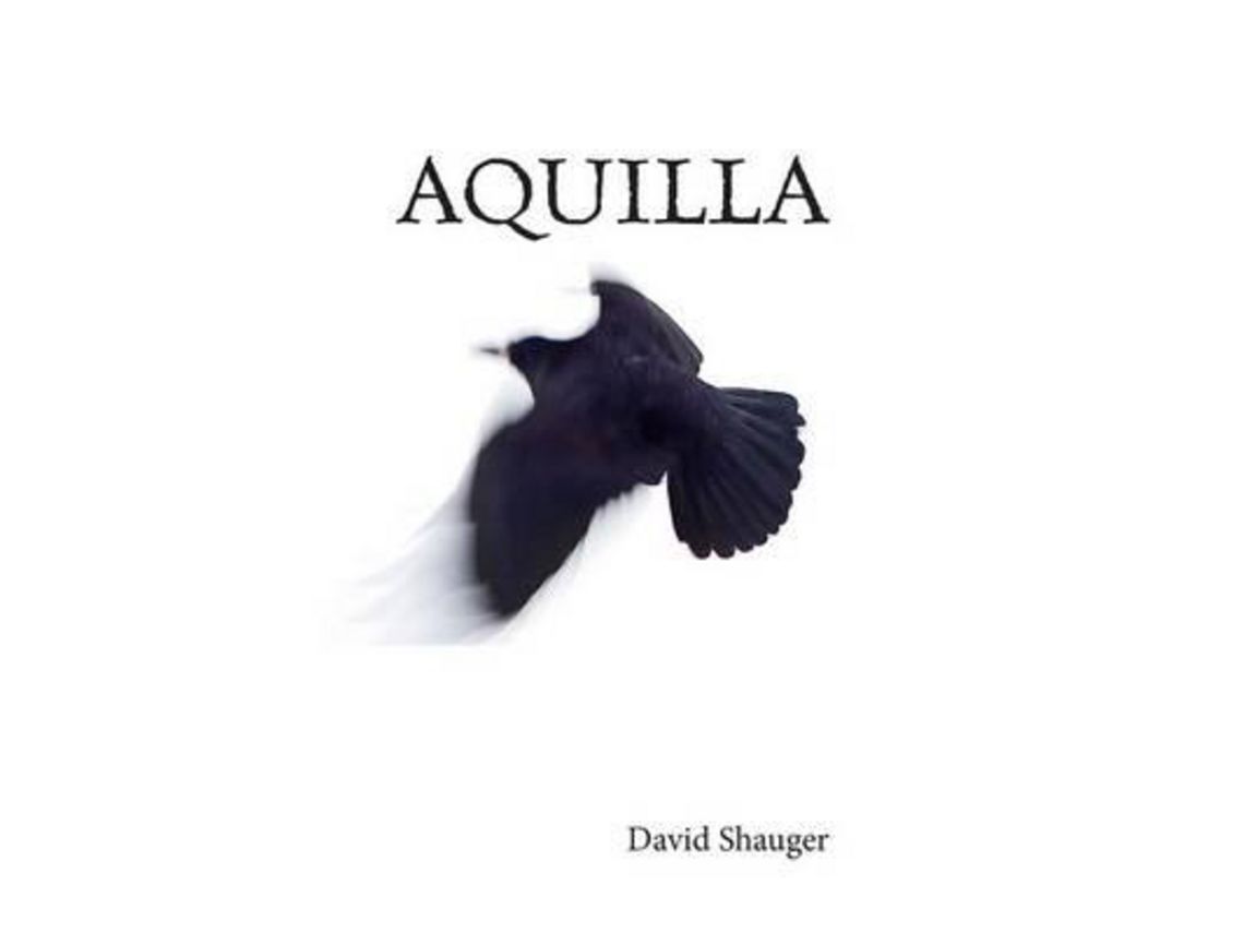 Livro Aquilla de David Shauger (Inglês)