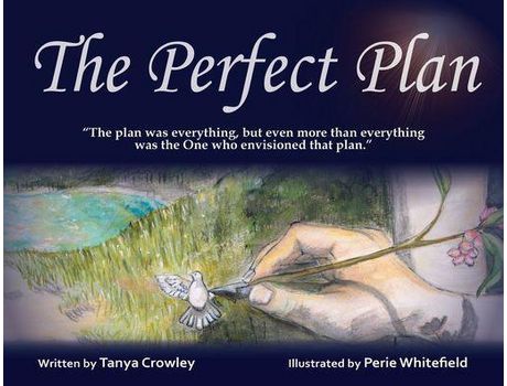 Livro The Perfect Plan de Tanya Crowley ( Inglês )