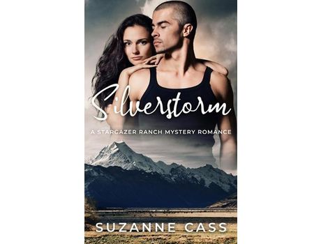 Livro Silverstorm de Suzanne Cass ( Inglês )