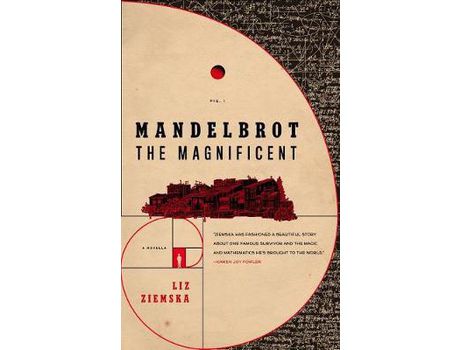 Livro Mandelbrot The Magnificent de Liz Ziemska ( Inglês )