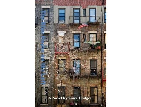 Livro The Blue House On The Left de Zaire Hodges ( Inglês )