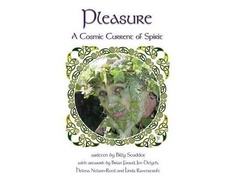 Livro Pleasure: A Cosmic Current Of Spirit de Billy Scudder ( Inglês )