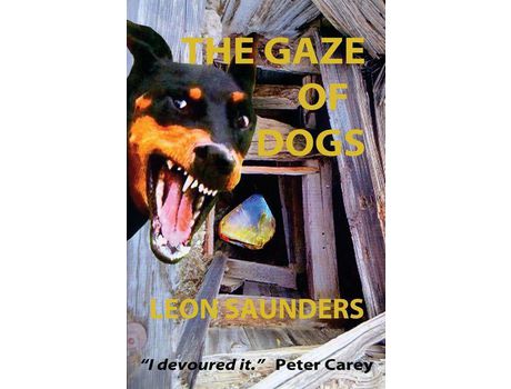 Livro The Gaze Of Dogs de Leon Saunders ( Inglês )