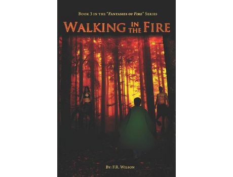 Livro Walking In The Fire: Hearts Of Fire Part Iii de Pamela Hilliard Owens ( Inglês )