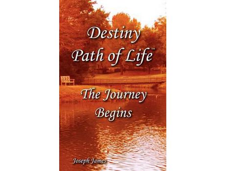 Livro Destiny Path Of Life - The Journey Begins de Joseph James Hartmann ( Inglês )