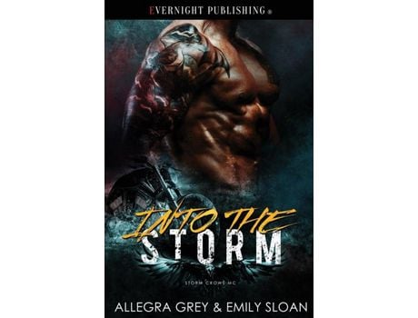 Livro Into The Storm de Emily Sloan ( Inglês )