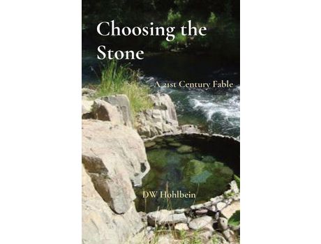 Livro Choosing The Stone: A 21St Century Fable de DW Hohlbein ( Inglês )