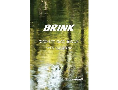 Livro Brink: Don'T Go Back To Sleep de Z Newell ( Inglês )