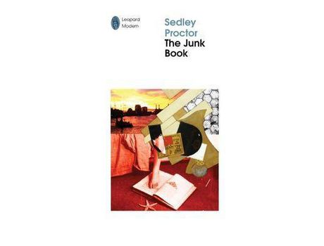 Livro The Junk Book: Of Jimmy Quentin, Poet Maudit Of The Q-Tips: Down And Out In Nineties London de Sedley Proctor ( Inglês )