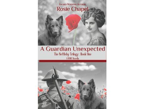 Livro A Guardian Unexpected de Rosie Chapel ( Inglês )