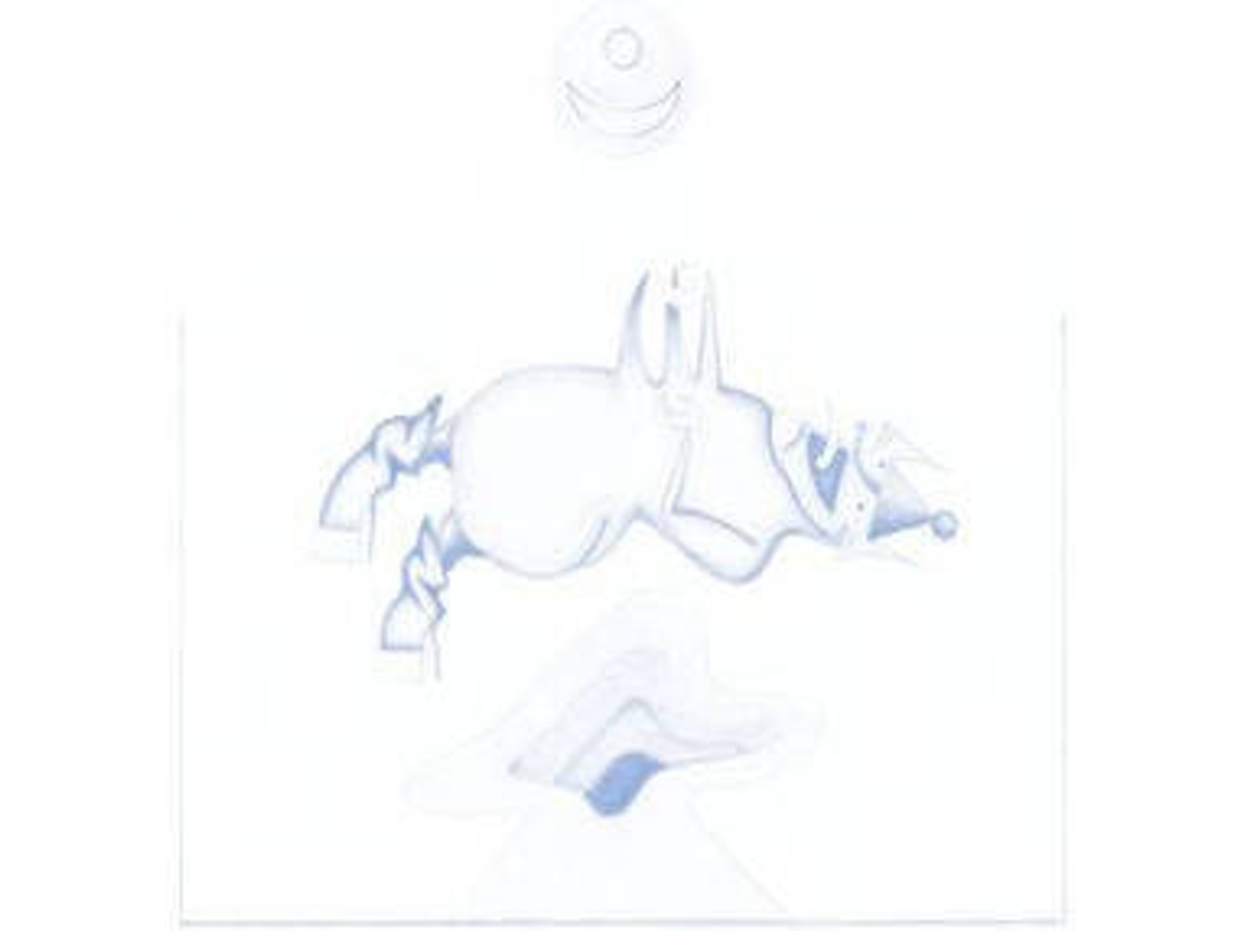 CD Devendra Banhart - Ape In Pink Marble