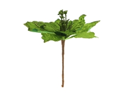 Flor de Natal Verde Têxtil LAXISCREED