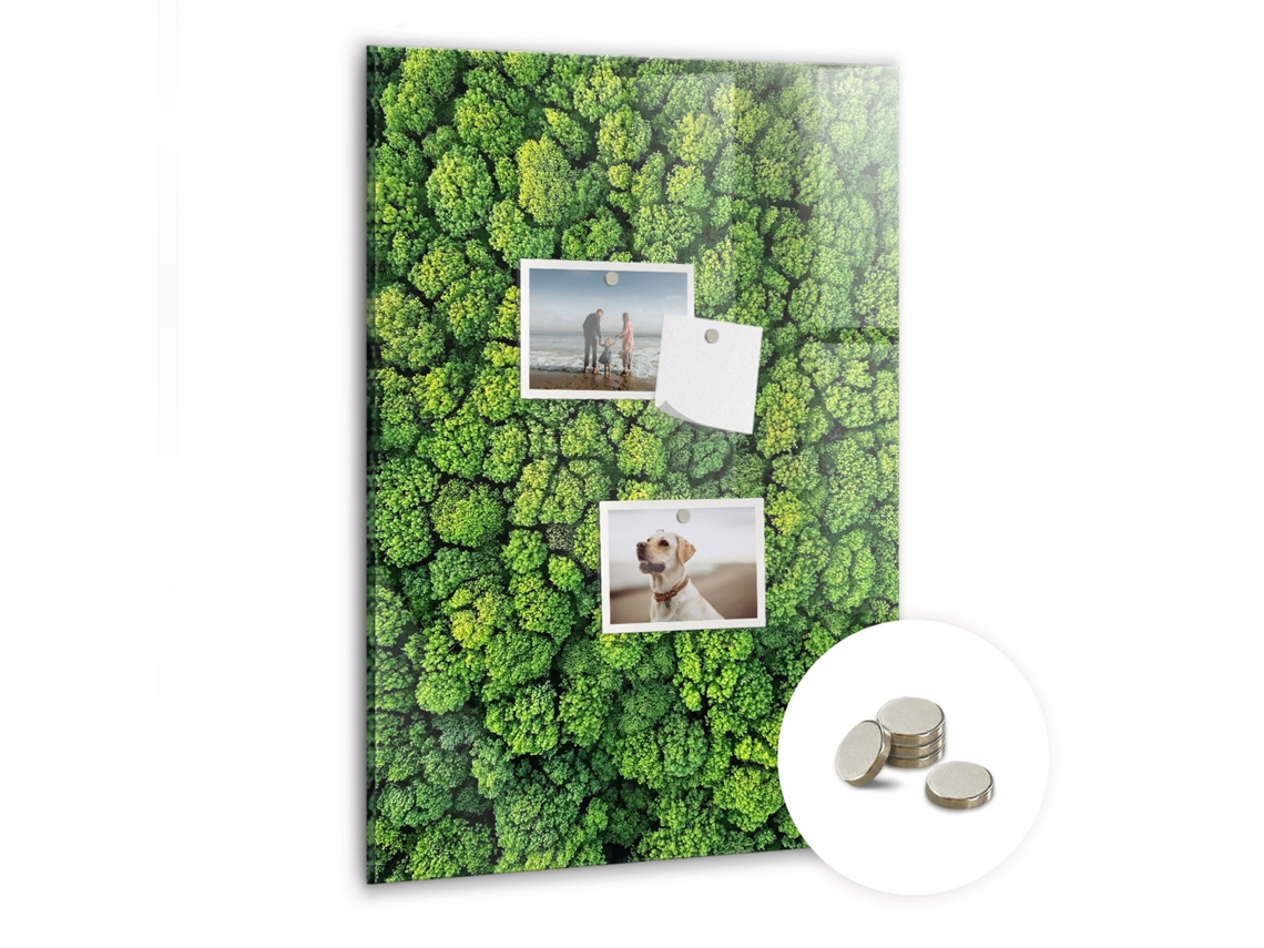Quadro De Vidro Magnético Árvores Da Floresta Para A Sala De Estar Espelharte (40x60 Cm)