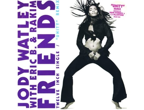 Vinil Friends Unity Remix Mca Records