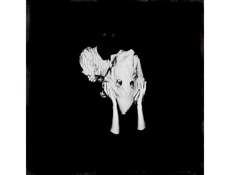 VINIL SIGUR RÓS - Kveikur [2LP VINIL VERDE LIMA TRANSPARENTE] Edição Limitada [RSD 2023]