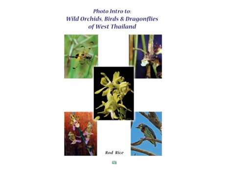 Livro Photo Intro To Wild Orchids, Birds Amp Dragonflies Of West Thailand De Rod Rice (inglês)