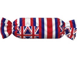 Almofada Cilíndrica Formato de Doce com Estampa da Bandeira Havaiana 100 % Poliéster Ideal para Viagens, Casa