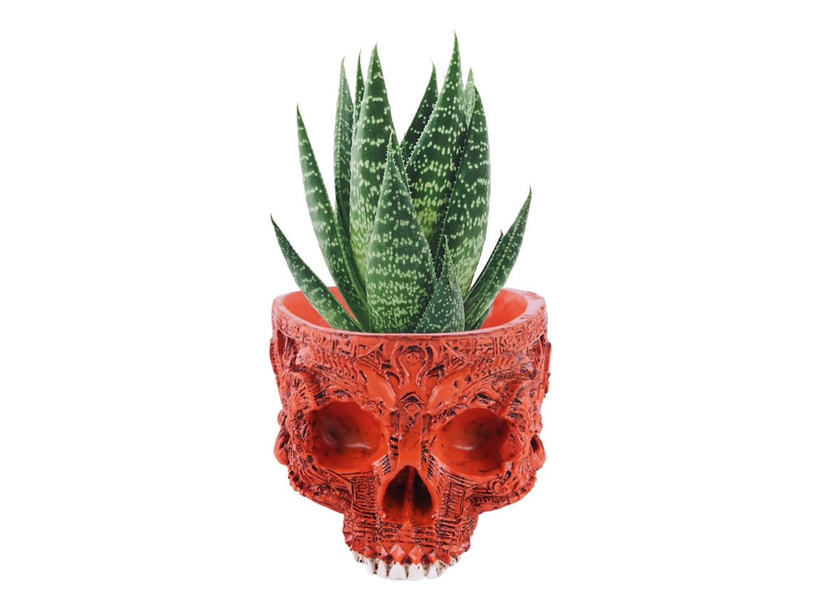 Laxiscreed Abóbora Bruxa De Halloween Com 12 Leds Variáveis Para Decoração De Casa E Exterior