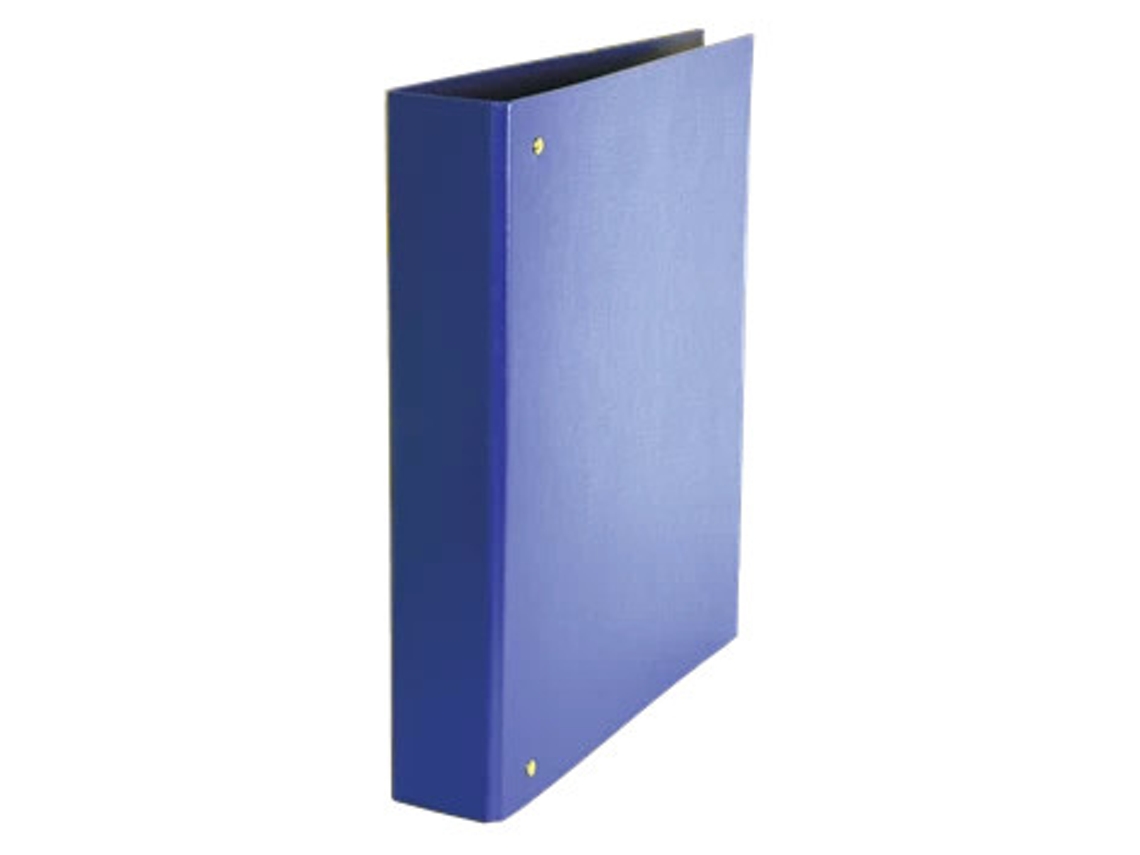 Pasta de papelão azul diário ESSELTE