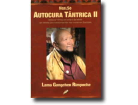Livro Autocura Tântrica autocura tântrica do corpo e da mente - Vol. II de Lama Gangchen Rinpoche (Português do Brasil)