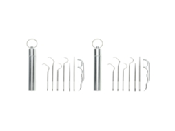 Palito de Dentes de Aço Inoxidável 304 Reutilizável com Porta PORTAL
