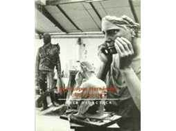 Livro Julio Lopez Hernandez Obra 1960-1995 Sala de Exposiciones Plaza de Espana, Marzo-Abril 1995 de Julio L Hernandez (Espanhol)