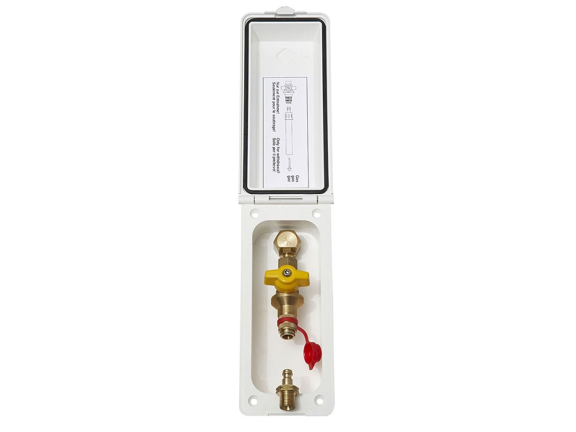 Conector Rápido para Churrasco Douradoeno