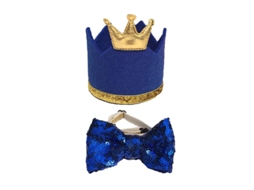 1 Conjunto De Chapéu De Aniversário De Cachorro Com Laço Allinless