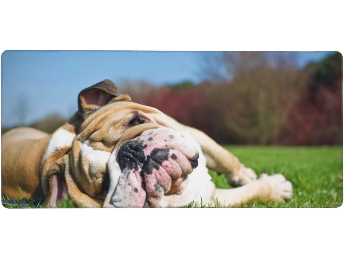 Bulldogs Ingleses, Cães Cansados, Animais de Estimação Jardim Mousepad Grande para Computador com Base Borrach