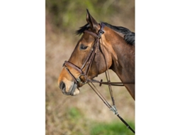 Gogue para Cavalos HFI