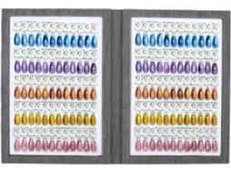 Catálogo de Amostras de Esmaltes Magnético com 180 Pontas (180 SFUSHOS