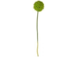 Haste de Allium XL ASA Deko 66624444