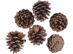 Conjunto De 36 Enfeites De Pinha Natural Não Processada Com Cordão Para Decoração De Natal, Árvore D Gokoco