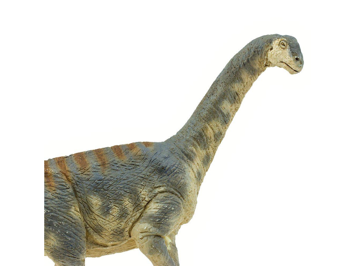 SAFARI Camarasaurus