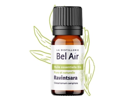 Óleo Essencial Bio Ravintsara Bel Air (madagáscar)