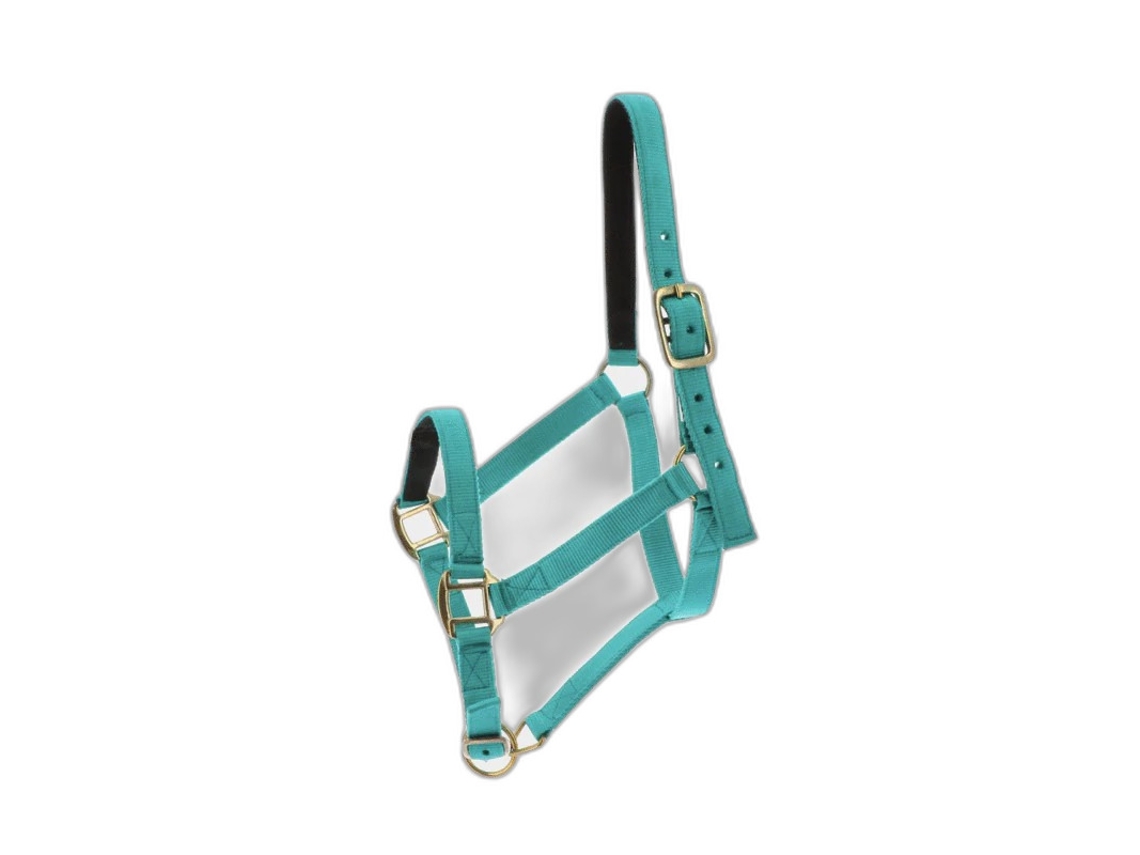 Halter Norton Doublé cuir