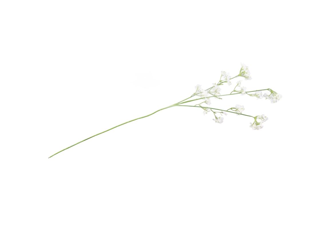 Conjunto Floraria Decorativa Simulação Estrelar Varanda