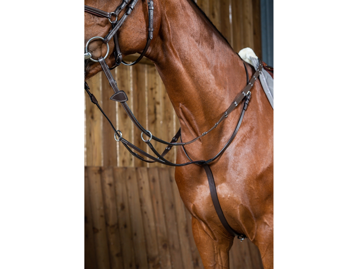 Martingale com Anéis DYON