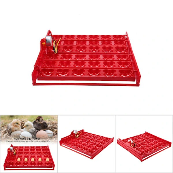 Incubadora Automática Para 36 Ovos/144 Ovos De Aves Com Bandeja Giratória(motor De 110v)
