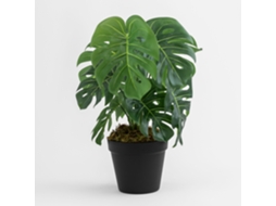 Sklum Planta Artificial Decorativa ↑35 Cm Monstera Peva          ↑35 Cm