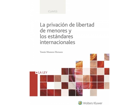 Livro La Privación De Libertad De Menores Y Estandares Intenacionales de VVAA (Espanhol)