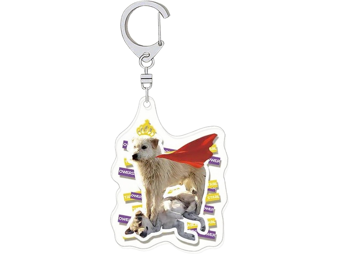 Chaveiro De Cachorro | Chaveiro Em Acrílico - Pingente De Animal Com Estampa Hd Frente E Verso Para Mala