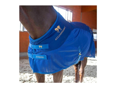 Tapete de acupressão para as costas ACCUHORSEMAT